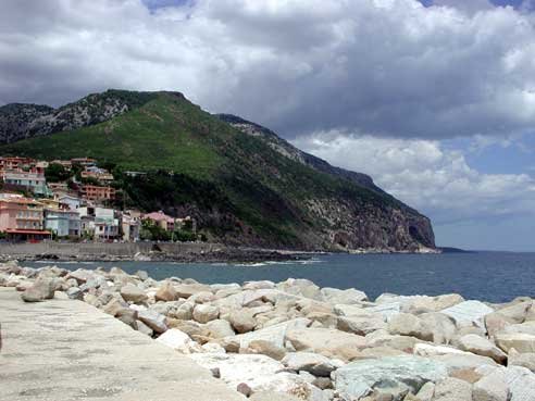 Photograph